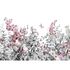 Photo Wallpaper Flowers Butterfly Floral grey pink 2