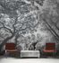 Image Photo Wallpaper Forest Trees Floral grey black 38240-1 1
