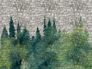 Image Photo Wallpaper Stone Wall Forest Trees grey 38245-1 2