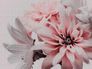 Image Photo Wallpaper Blossom Floral Flowers pink 38270-1 2