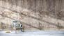 Illustration Photo Wallpaper Concrete Plaster Wall grey brown 38339-1 1