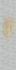 Image Photo Wallpapern Panel Leaf Floral grey gold 33275 1