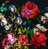 Image Photo Wallpaper Daria Flowers Floral black colourful