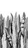 Image Photo Wallpaper Leaves Pop-Art Floral grey white 47207 2