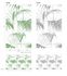 Illustration Photo Wallpaper Palms Leaves Floral green white 47209 3