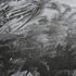 Non-Woven Wallpaper Leaves Jungle grey 38356-4 2