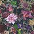 Non-Woven Wallpaper Flowers black pink 38175-6 2