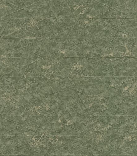 Non-Woven Wallpaper Rasch Graphic Mesh green 554359