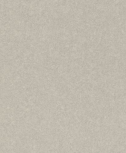 Non-Woven Wallpaper Rasch Plain silver-grey 554489