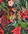 Wallpaper Grandeco animals flowers plants green red 2