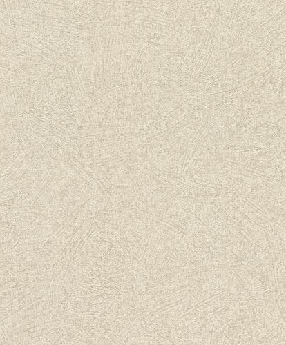 Rasch Concrete wallpaper wipe look beige 520248