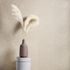 Rasch Concrete wallpaper wipe look beige 520248 2