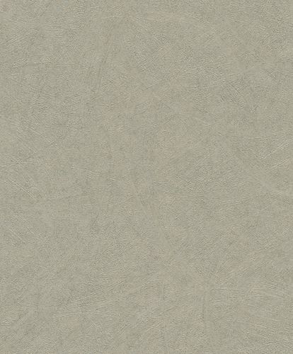 Rasch Concrete wallpaper wipe look green-gray 520279