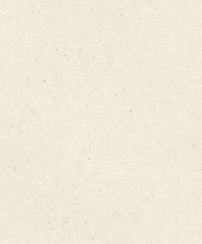 Rasch Concrete wallpaper concrete look cream white 520828