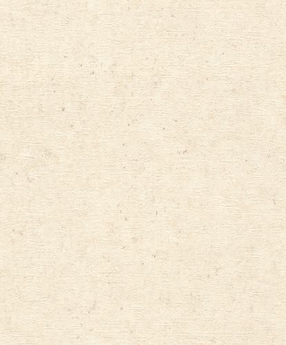 Rasch Concrete wallpaper concrete look cream 520835