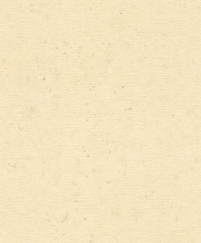 Rasch Concrete wallpaper concrete look beige 520842