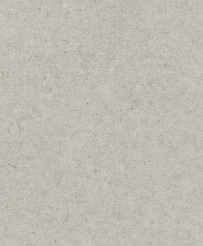 Rasch Concrete wallpaper concrete look greige 520859