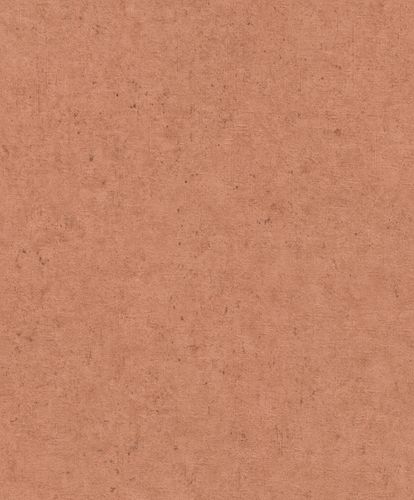 Rasch Concrete wallpaper concrete look Terra 520880