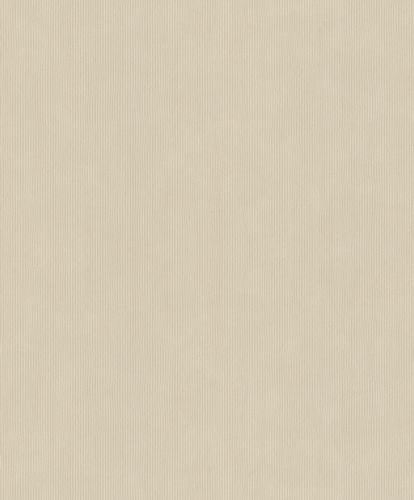 Rasch Concrete wallpaper plain lines beige gray 521450