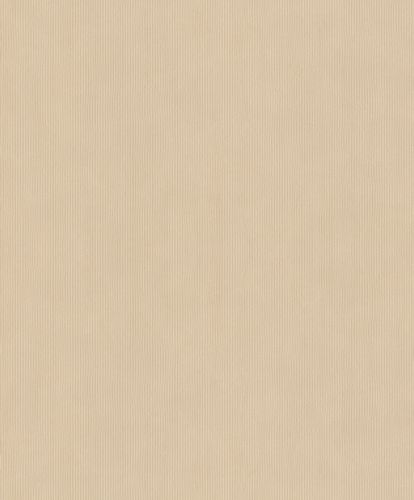 Rasch Concrete wallpaper plain lines beige 521467