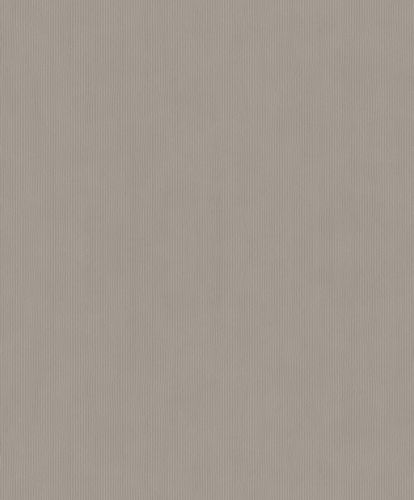 Rasch Concrete wallpaper plain lines gray 521481