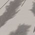 Non-woven wallpaper pampas grass grey black 38631-4 6