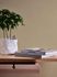 Non-woven wallpaper AS Creation Beige Uni 385943 4