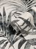 Non-woven wallpaper Ivy leaves white gray 82272 Novamur 2