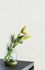 Non-woven wallpaper Grandeco white graphic A48101 Phoenix 2