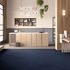 Carpet Tile Matrix Commercial 50x50 cm Carpeting 9