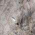 Non-woven wallpaper 38817-4 Dark grey marbled 2