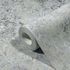 Non-woven wallpaper 34294 baroque gray silver Marburg 2