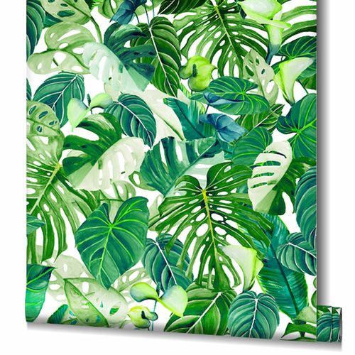 Wallpaper sample article 47415