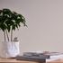 Non-woven wallpaper plain mottled white cream 38925-3 3