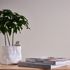 Non-woven wallpaper plain mottled cream grey 38925-6 3