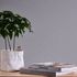 Non-woven wallpaper plain mottled texture dark grey 38925-7 4