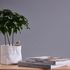 Non-woven wallpaper plain mottled texture blue grey 38925-8 3