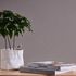 Non-woven wallpaper plain mottled grey white 38926-1 3