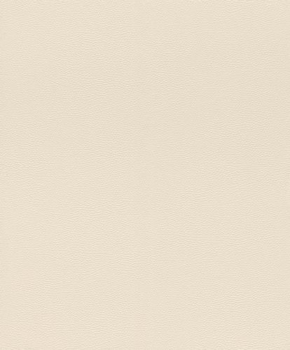 Wallpaper sample article 752625