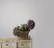 Non-woven wallpaper texture plain white pink 82361 1