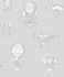 Non-Woven Wallpaper Balloons grey White Metallic JR3011 1