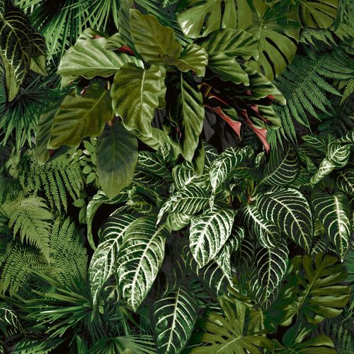 Wallpaper sample article A58601