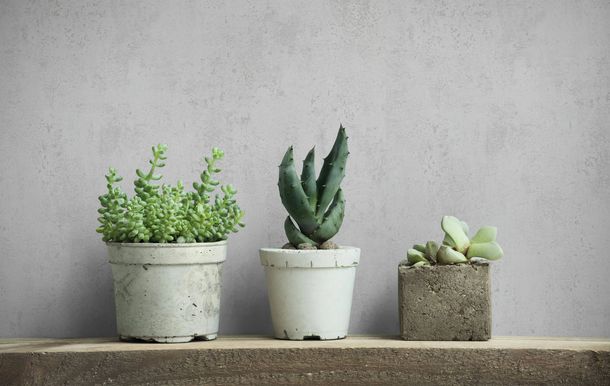 Non-woven wallpaper plain plaster texture light grey 82396