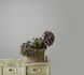 Non-woven wallpaper texture plain light grey 82409 Novamur 1