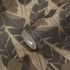Non-woven wallpaper leaf pattern beige black gold 39502-4 6