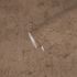 Non-woven wallpaper plaster look pink copper 3951-46 5