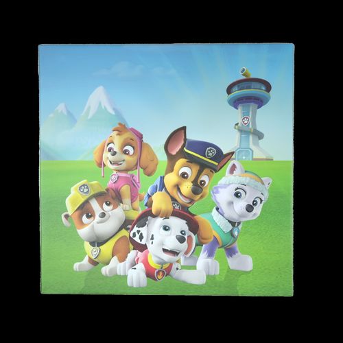 Wall mural Paw Patrol Chase & Friends Meadow 35 x 35 cm