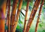 XXL Poster Wall mural nature stones sea sepia 1.6m x 1.15m 1