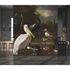 Photo Wallpaper Birds Park Pond Brown grey 2502V-11 1