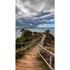 Photo Wallpaper Beach Brown Green Blue 2528N-81 2
